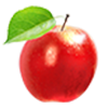 Pomme séchée ingredient OneDayMore